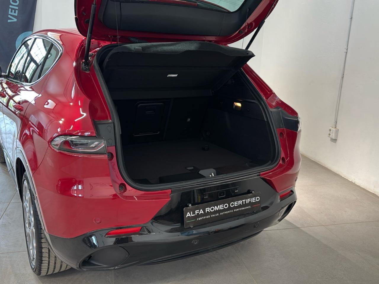 Alfa Romeo Alfa Romeo Tonale usata 7