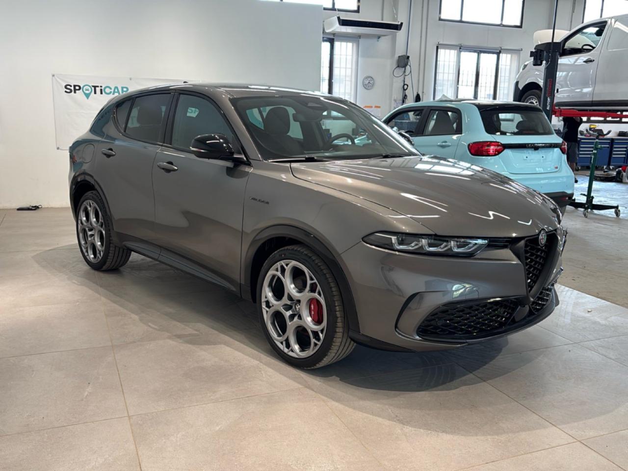 Alfa Romeo Alfa Romeo Tonale usata 13