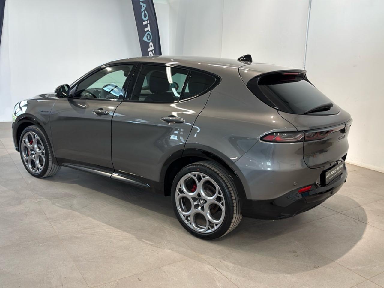 Alfa Romeo Alfa Romeo Tonale usata 16