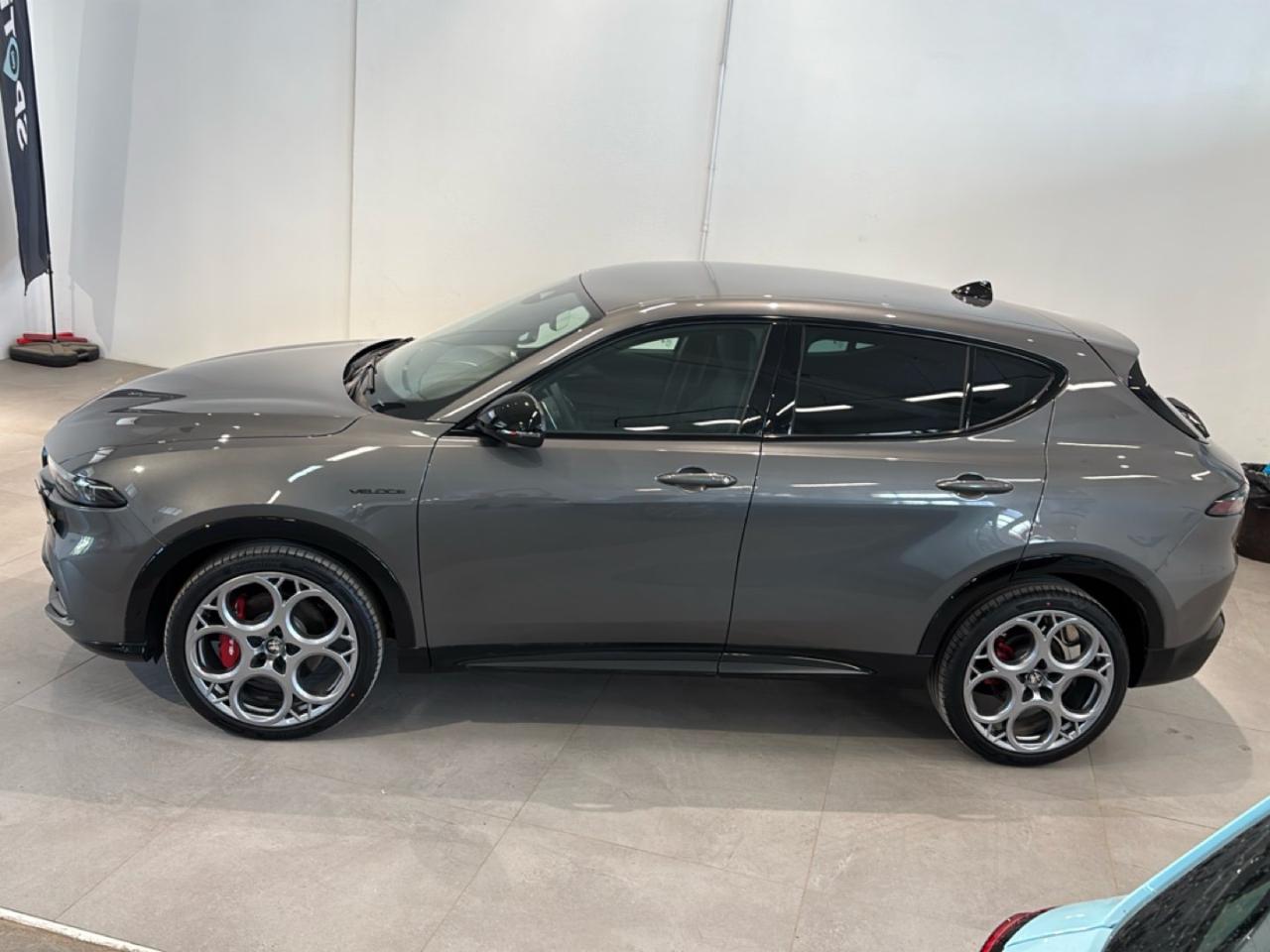 Alfa Romeo Alfa Romeo Tonale usata 17