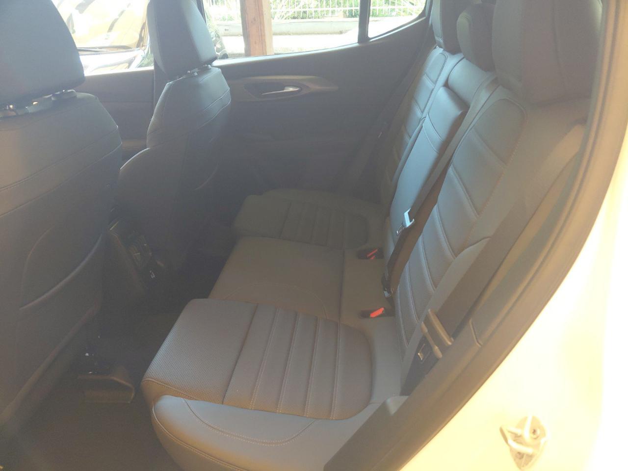 Alfa Romeo Alfa Romeo Tonale usata 5