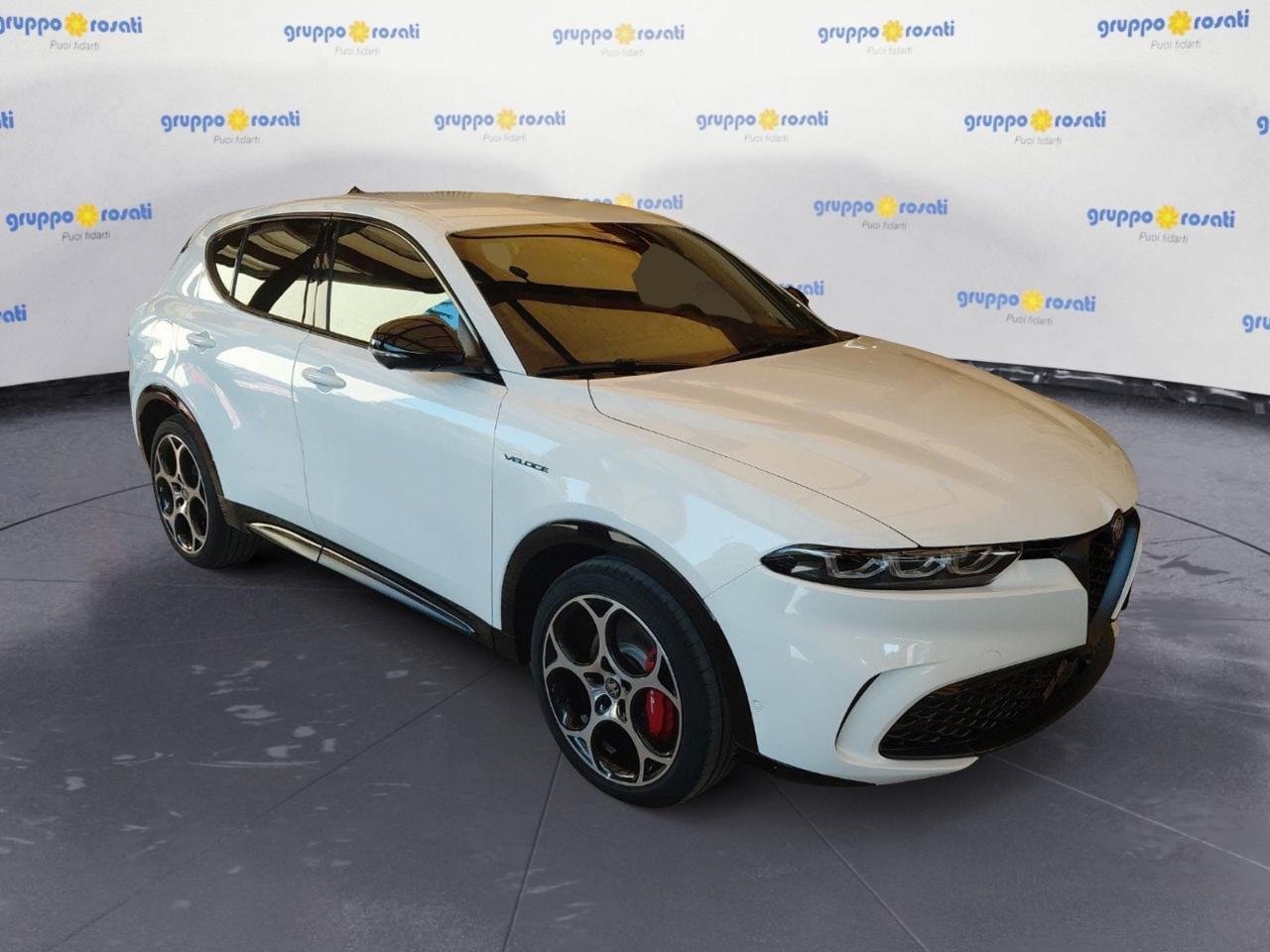 Alfa Romeo Alfa Romeo Tonale usata 10