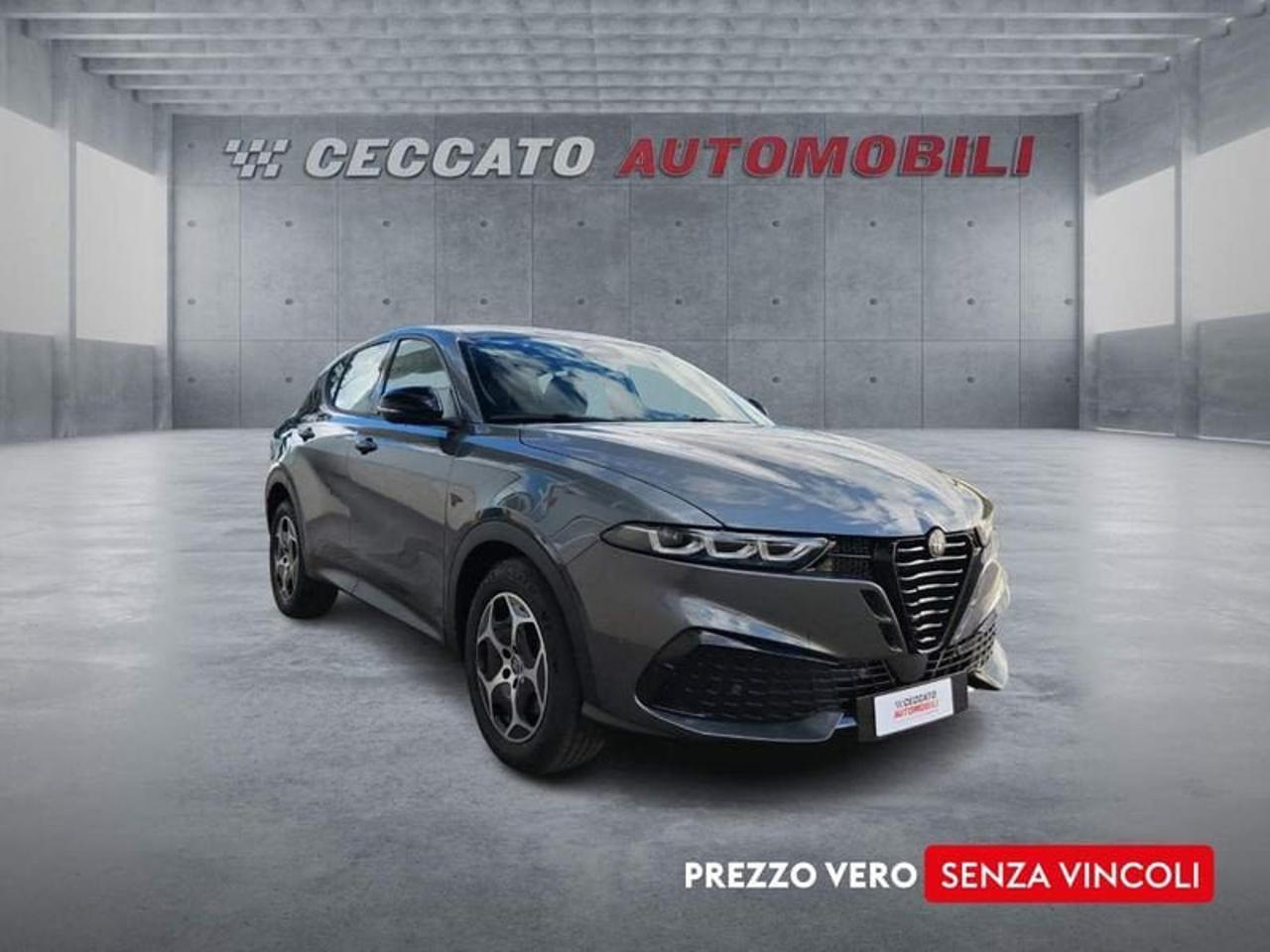 Alfa Romeo Alfa Romeo Tonale usata 9
