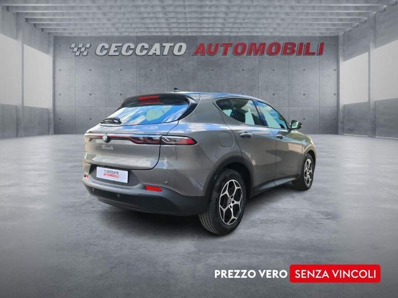 Alfa Romeo Alfa Romeo Tonale usata 10