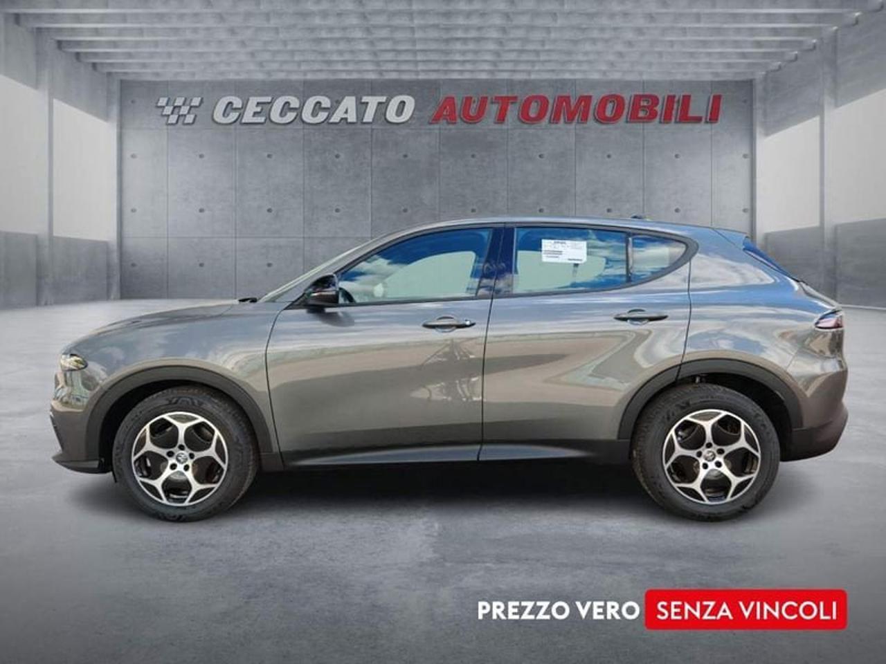 Alfa Romeo Alfa Romeo Tonale usata 11