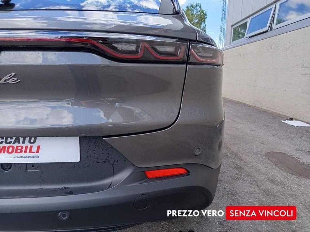 Alfa Romeo Alfa Romeo Tonale usata 12