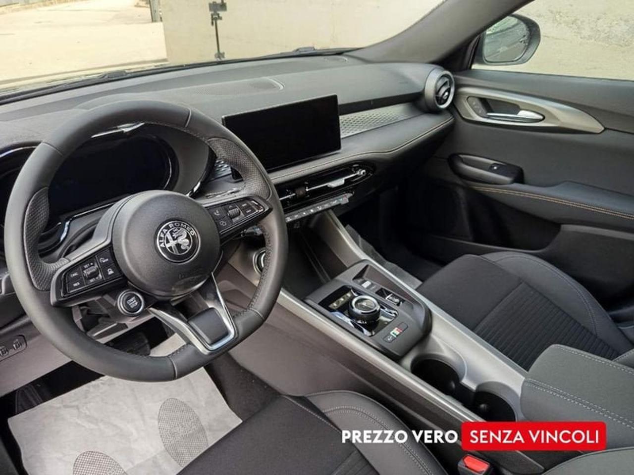 Alfa Romeo Alfa Romeo Tonale usata 13
