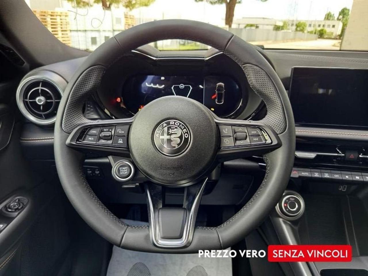 Alfa Romeo Alfa Romeo Tonale usata 14