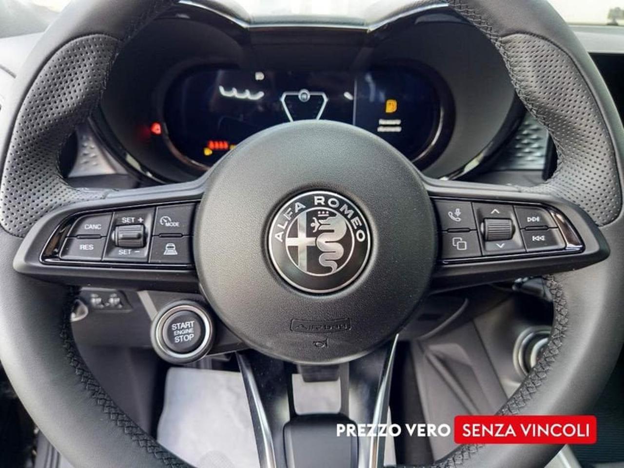 Alfa Romeo Alfa Romeo Tonale usata 15
