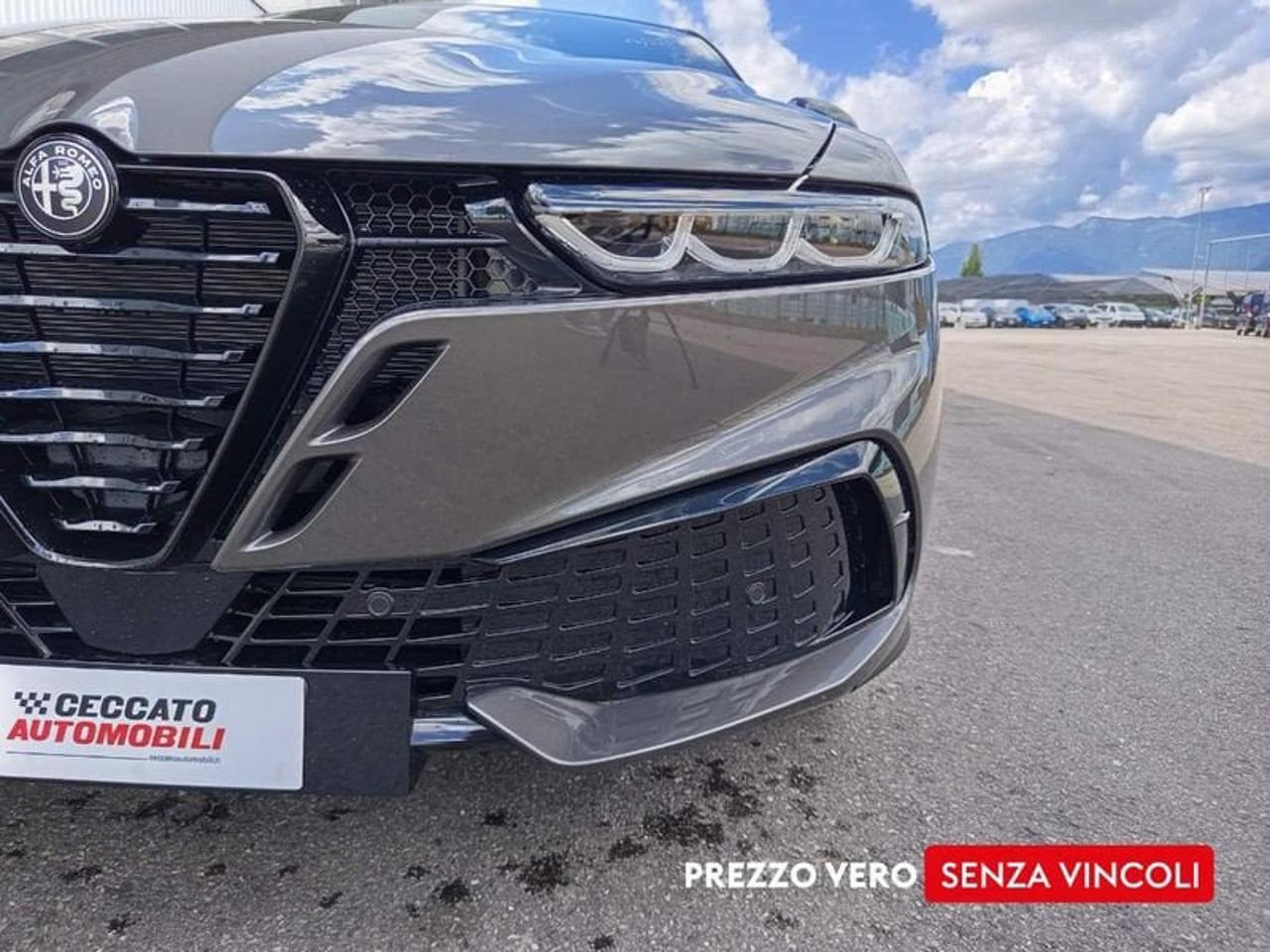 Alfa Romeo Alfa Romeo Tonale usata 17