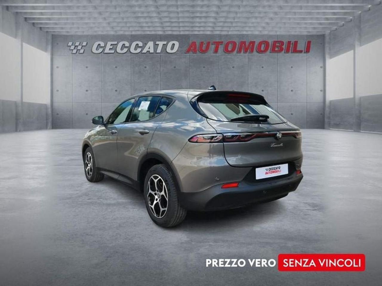 Alfa Romeo Alfa Romeo Tonale usata 18