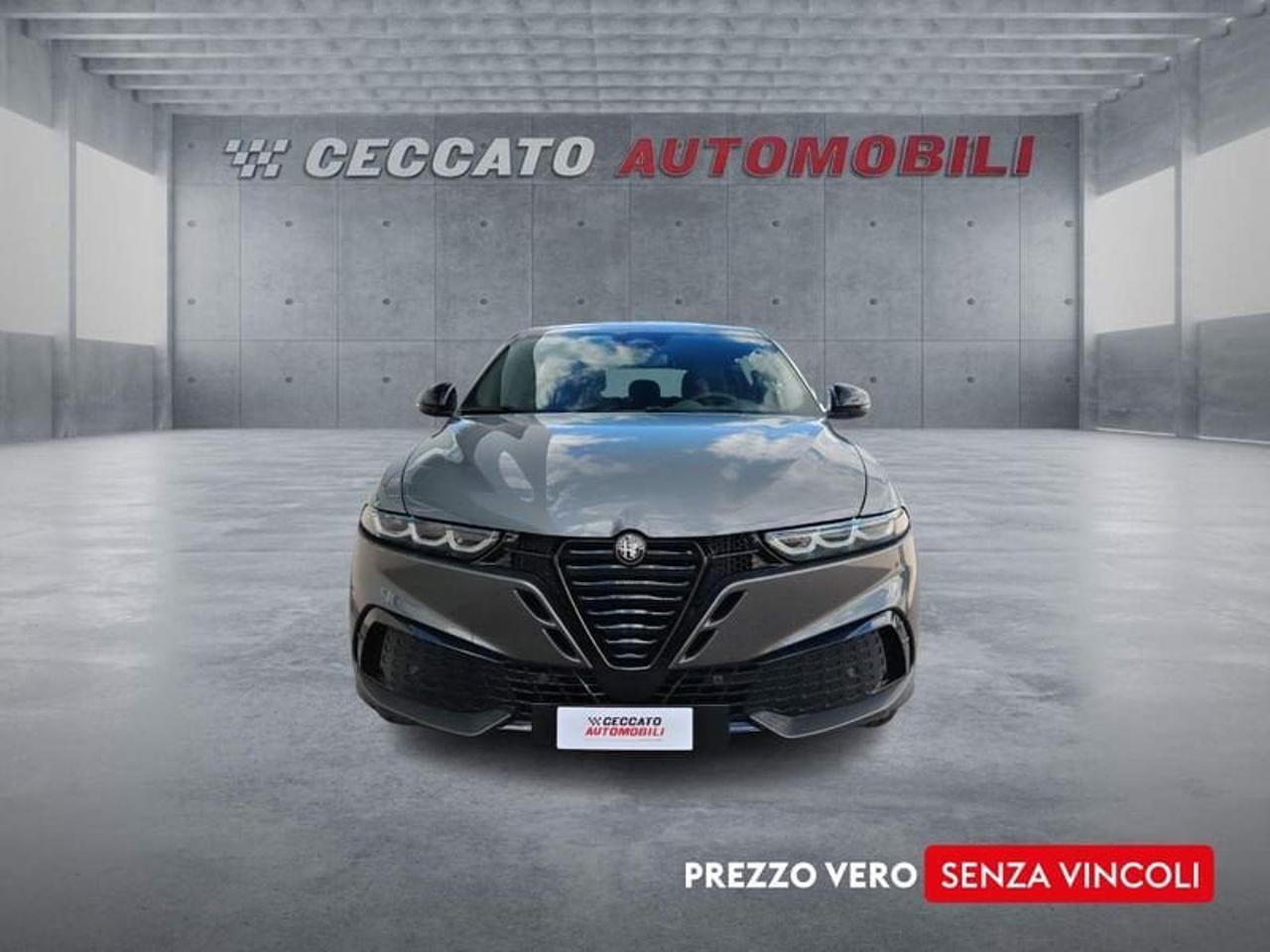 Alfa Romeo Alfa Romeo Tonale usata 19