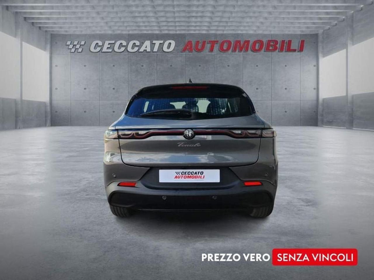 Alfa Romeo Alfa Romeo Tonale usata 20