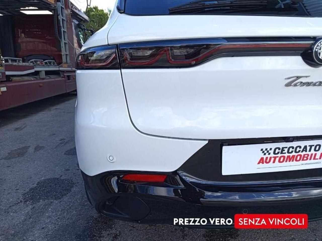 Alfa Romeo Alfa Romeo Tonale usata 10