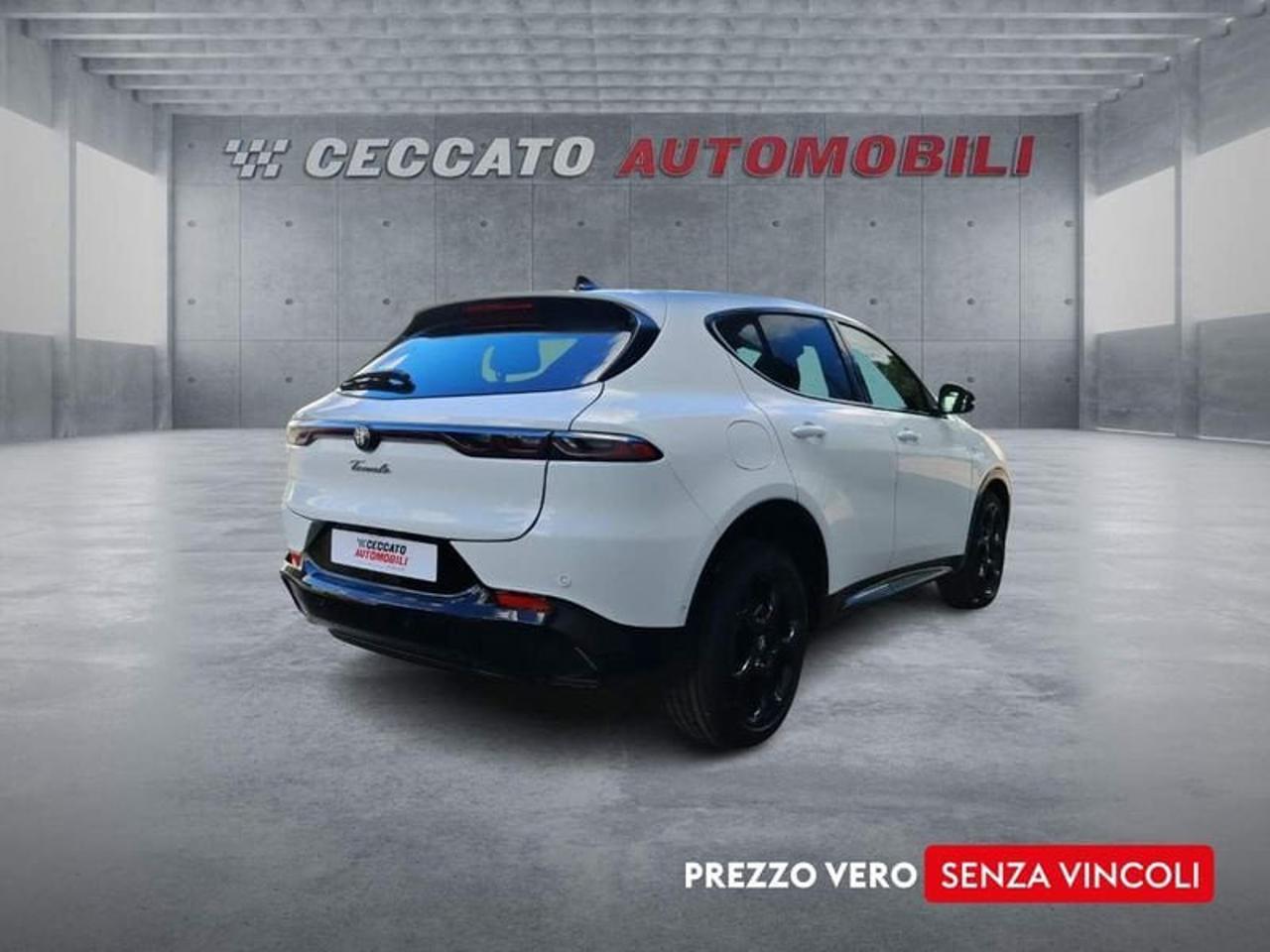 Alfa Romeo Alfa Romeo Tonale usata 8