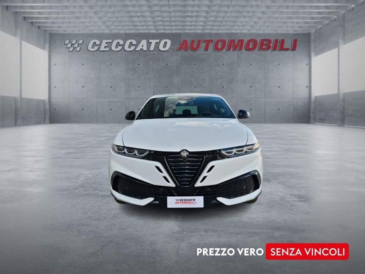 Alfa Romeo Alfa Romeo Tonale usata 18