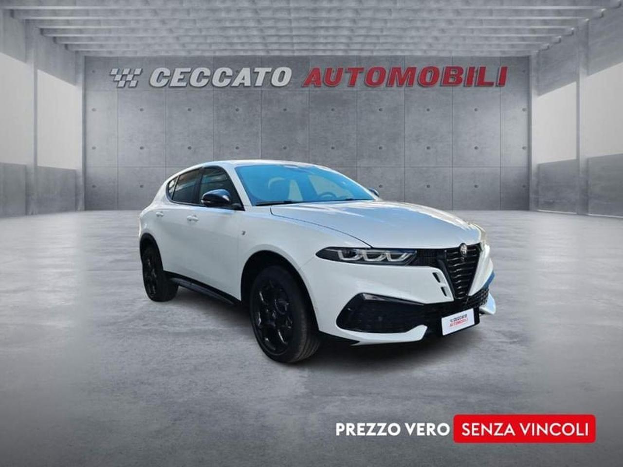 Alfa Romeo Alfa Romeo Tonale usata 7