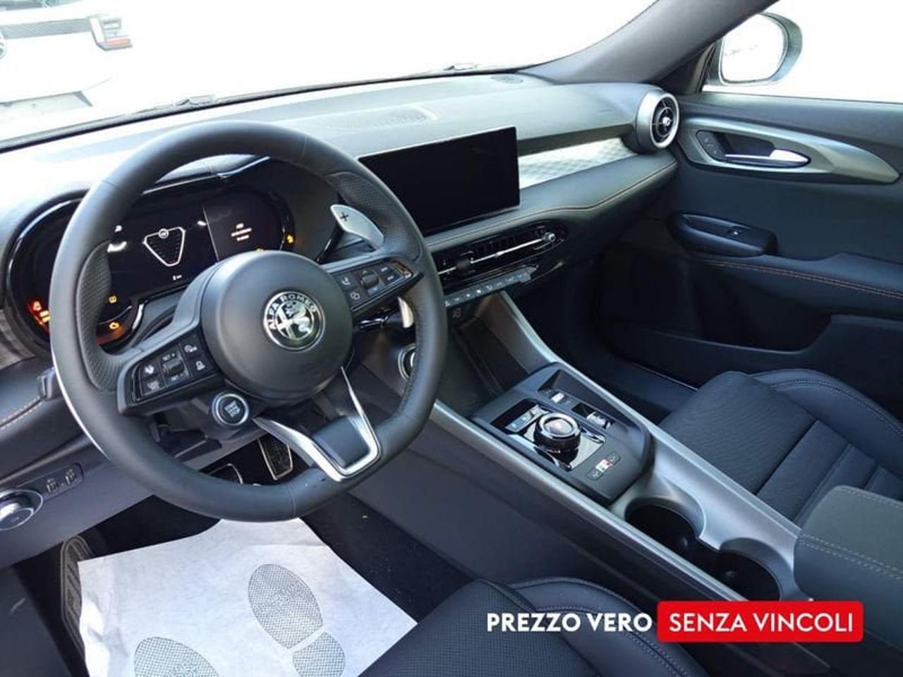 Alfa Romeo Alfa Romeo Tonale usata 12