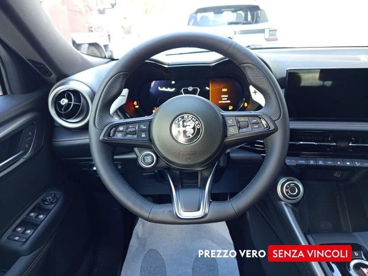 Alfa Romeo Alfa Romeo Tonale usata 13