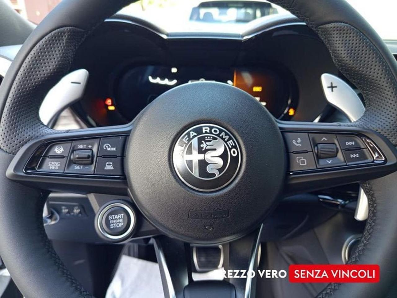 Alfa Romeo Alfa Romeo Tonale usata 14