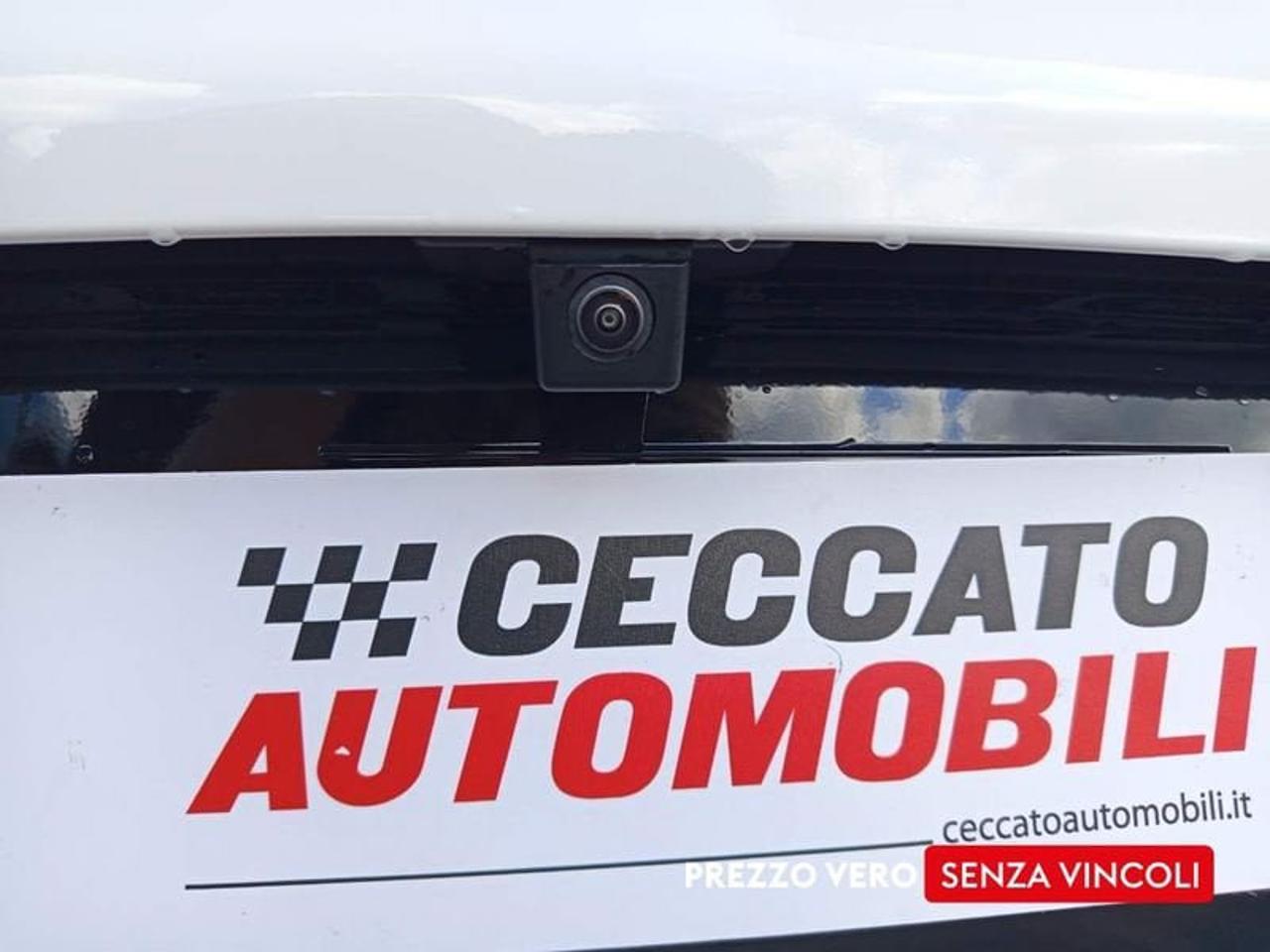 Alfa Romeo Alfa Romeo Tonale usata 15