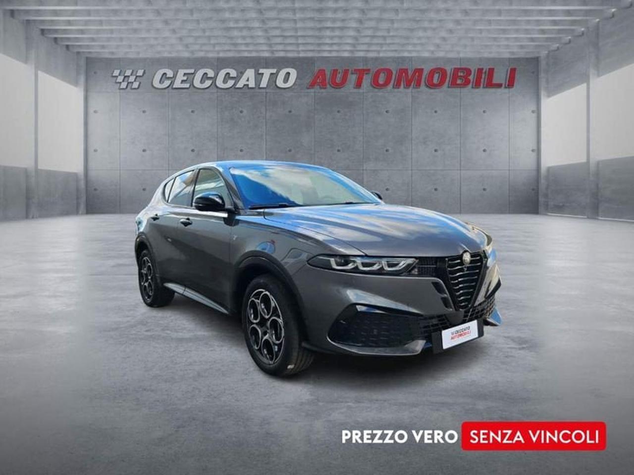 Alfa Romeo Alfa Romeo Tonale usata 7