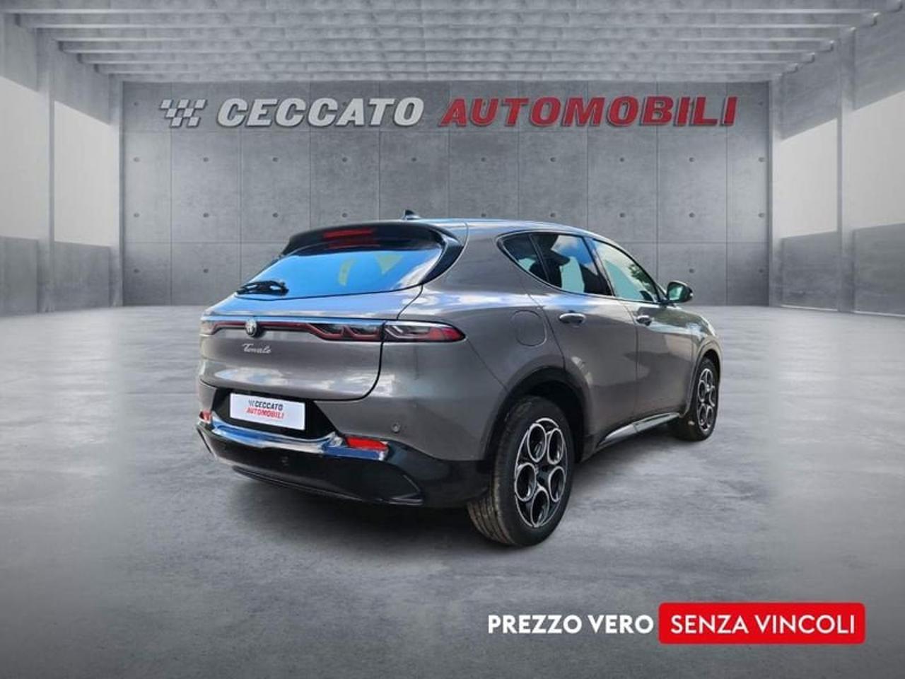 Alfa Romeo Alfa Romeo Tonale usata 8