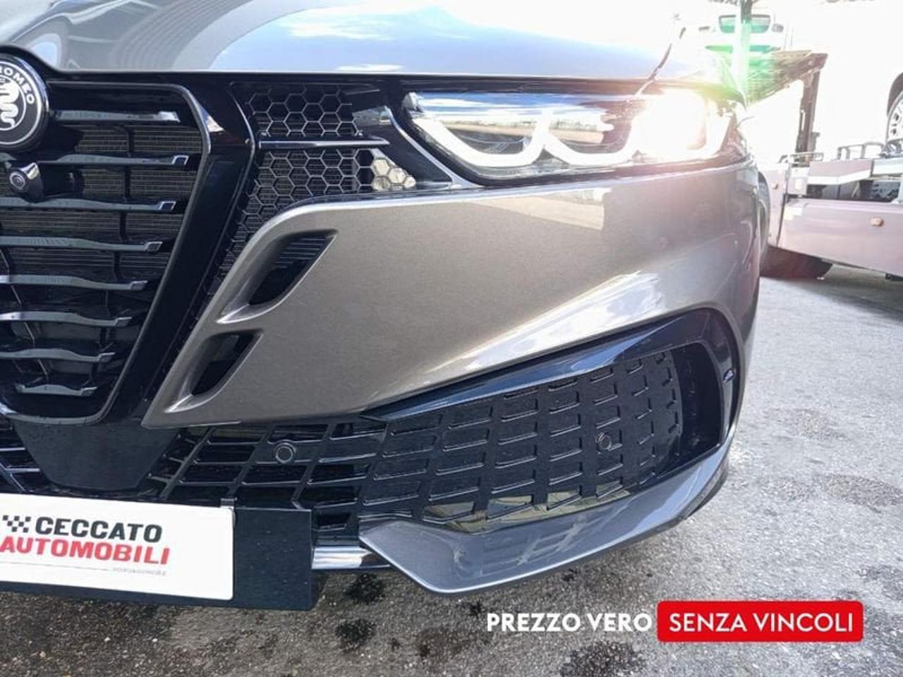 Alfa Romeo Alfa Romeo Tonale usata 9