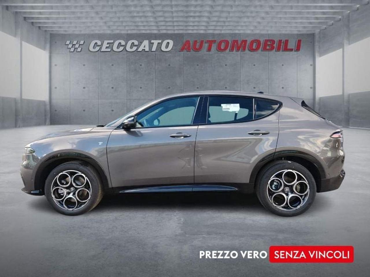 Alfa Romeo Alfa Romeo Tonale usata 11