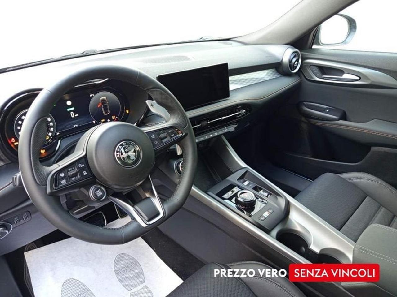 Alfa Romeo Alfa Romeo Tonale usata 12