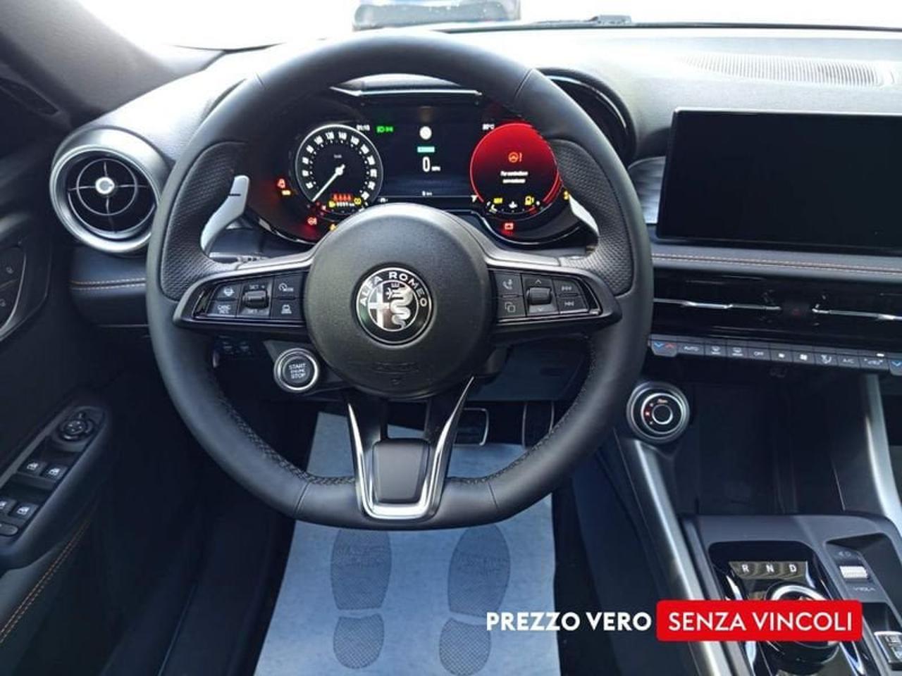 Alfa Romeo Alfa Romeo Tonale usata 13