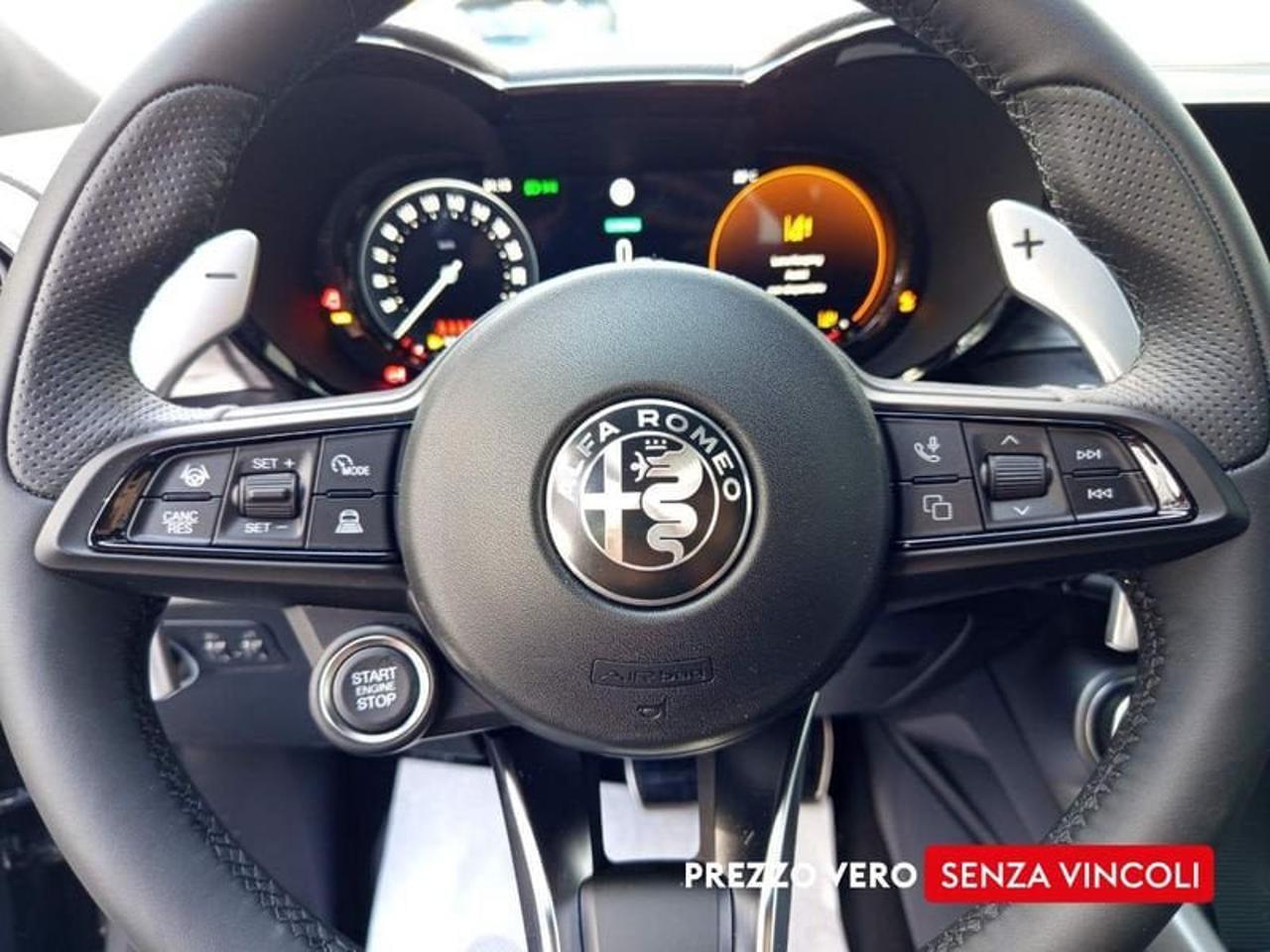Alfa Romeo Alfa Romeo Tonale usata 14