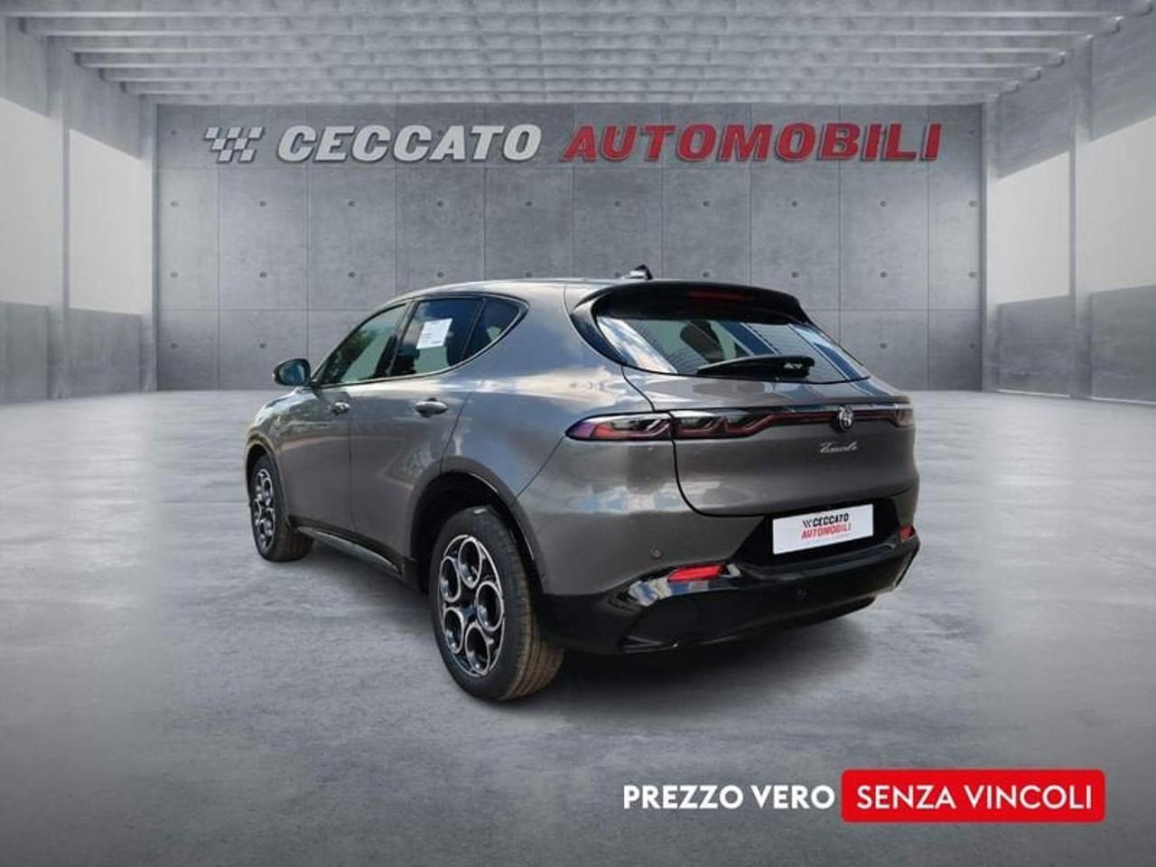 Alfa Romeo Alfa Romeo Tonale usata 17