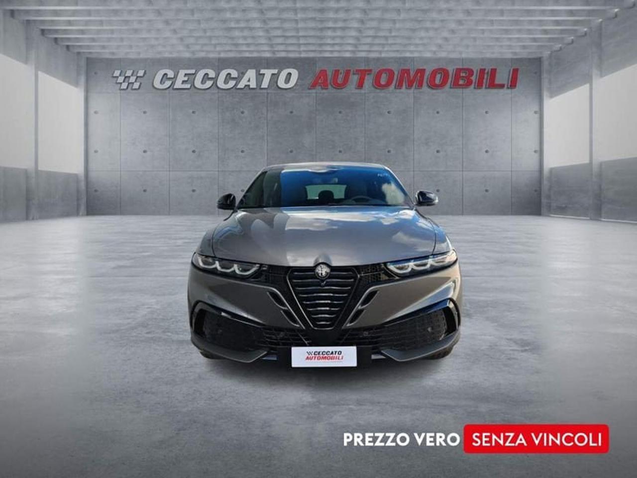 Alfa Romeo Alfa Romeo Tonale usata 18