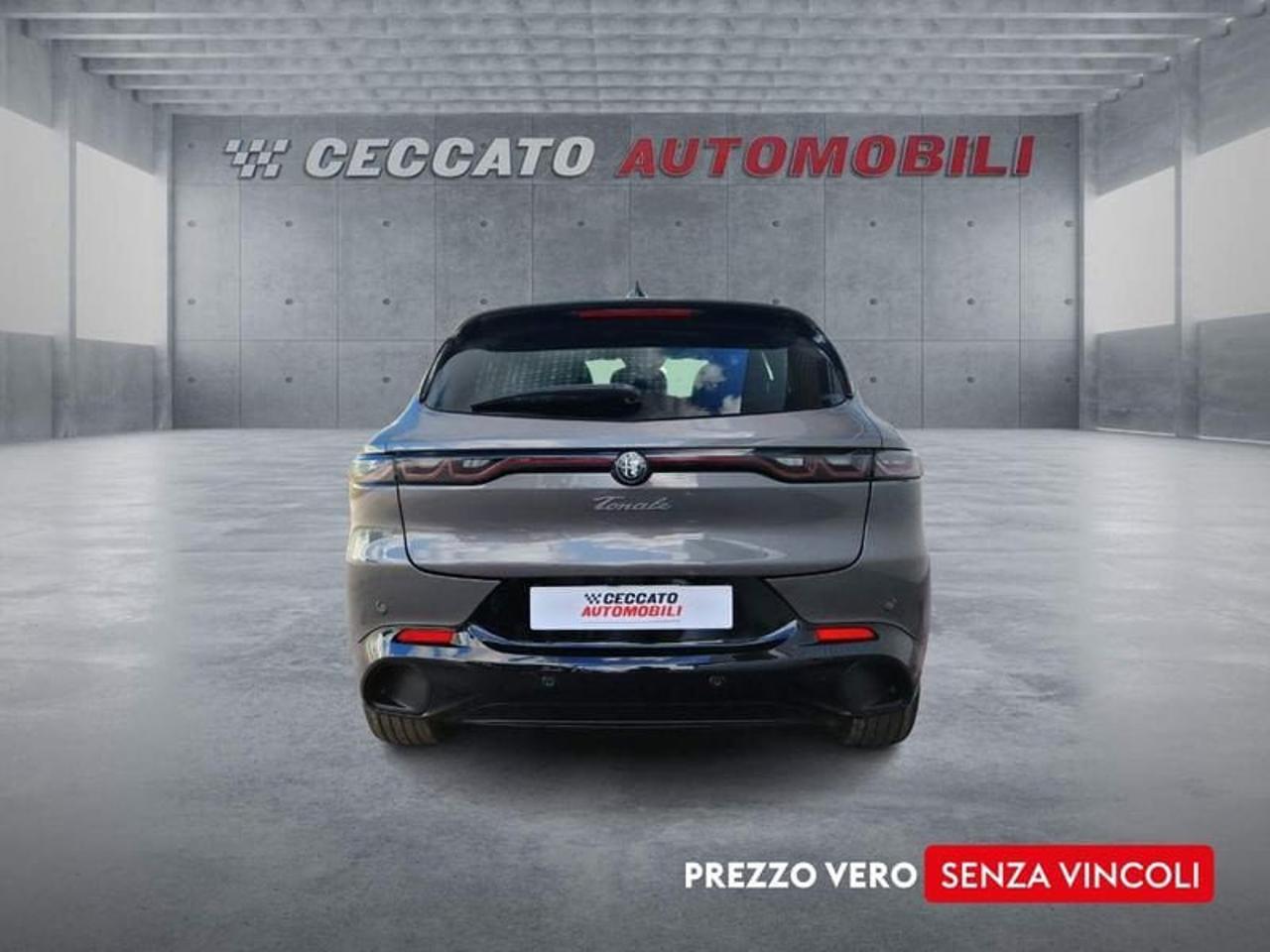 Alfa Romeo Alfa Romeo Tonale usata 19