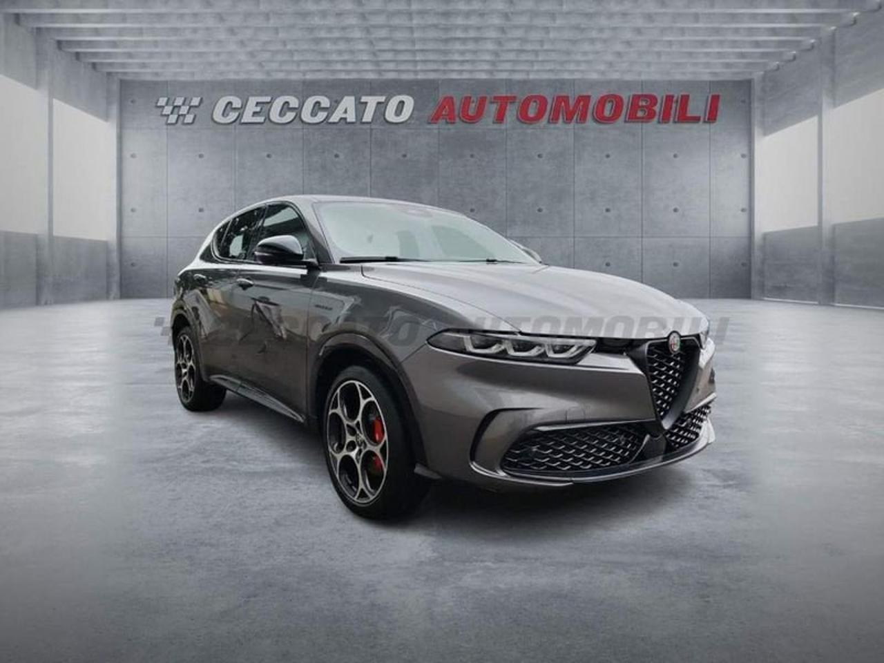 Alfa Romeo Alfa Romeo Tonale usata 7