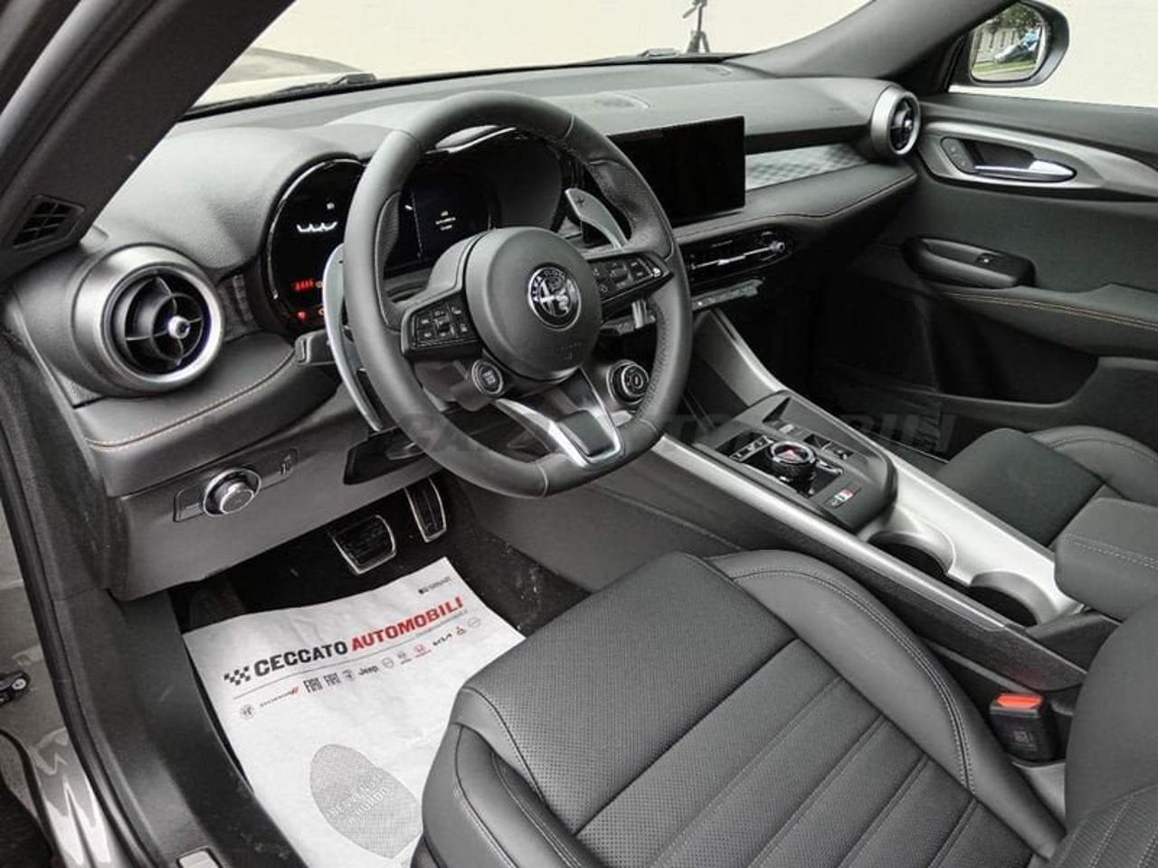 Alfa Romeo Alfa Romeo Tonale usata 12