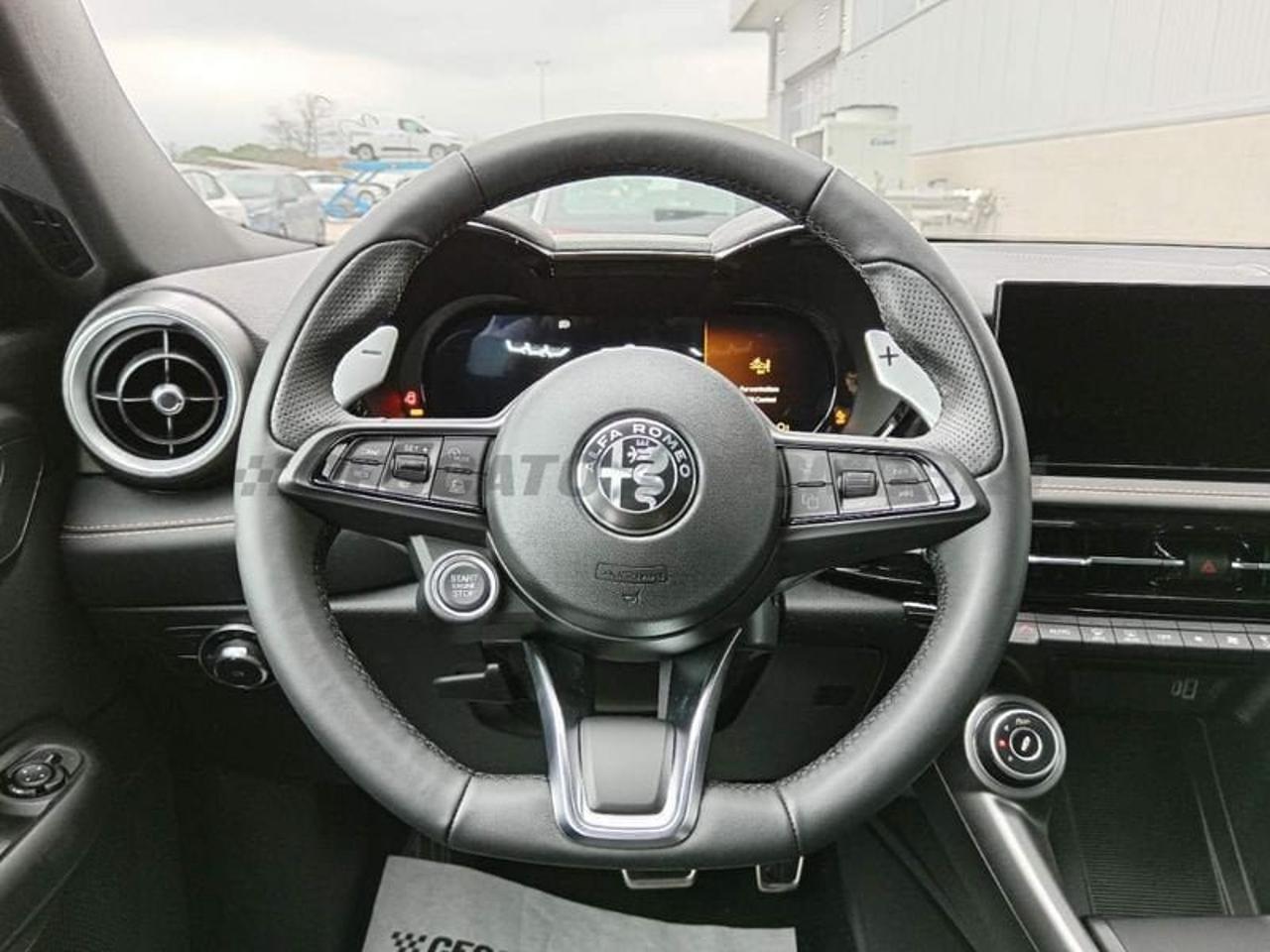Alfa Romeo Alfa Romeo Tonale usata 13