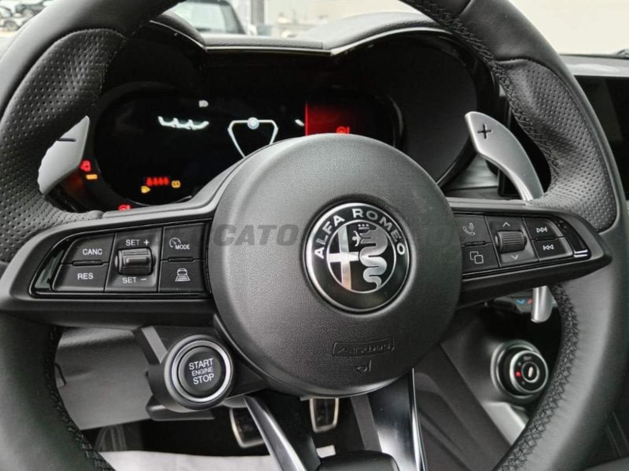 Alfa Romeo Alfa Romeo Tonale usata 14