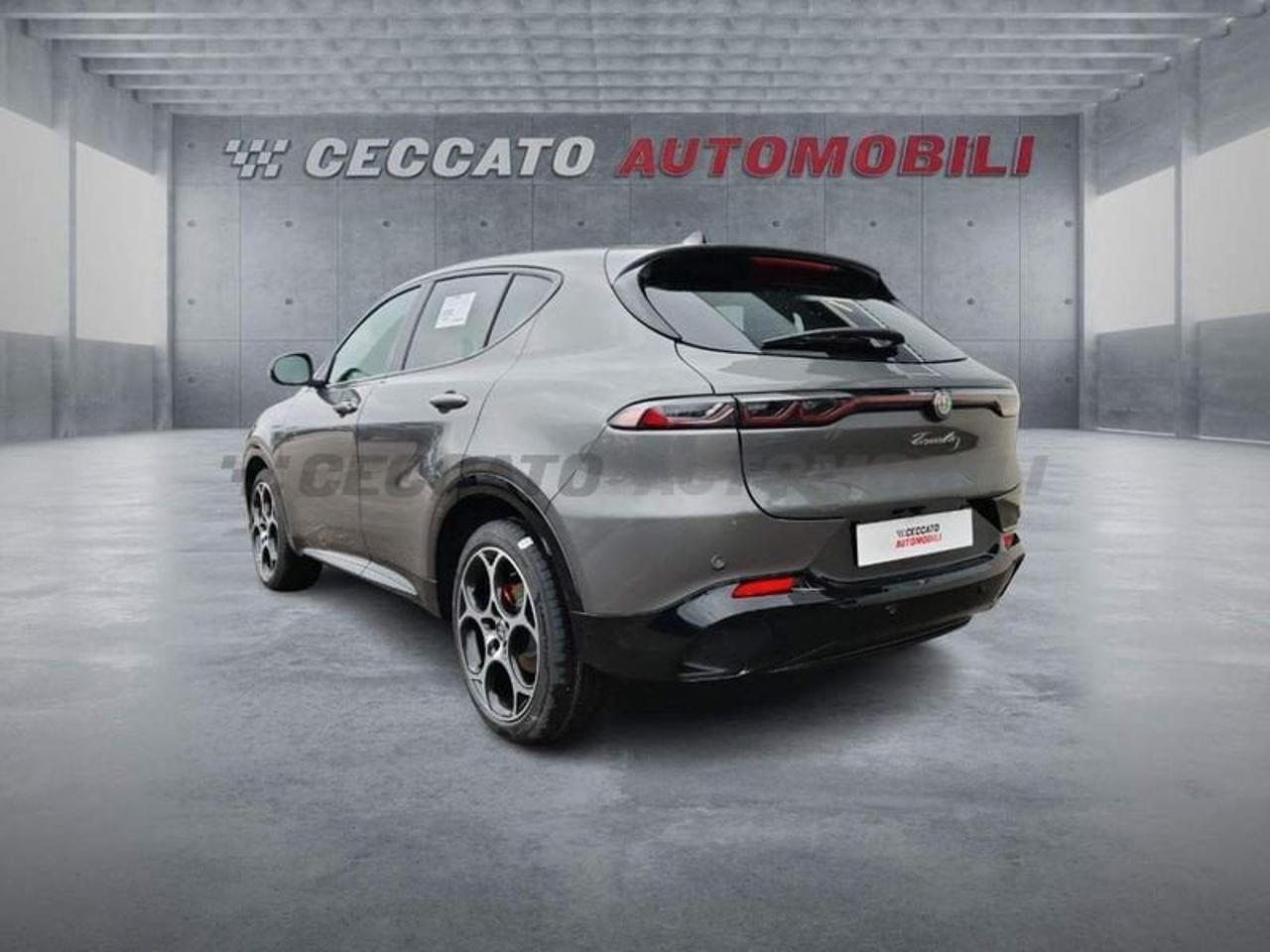 Alfa Romeo Alfa Romeo Tonale usata 17