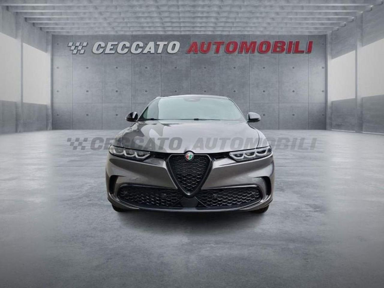 Alfa Romeo Alfa Romeo Tonale usata 18