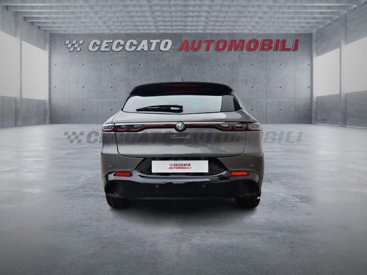 Alfa Romeo Alfa Romeo Tonale usata 19
