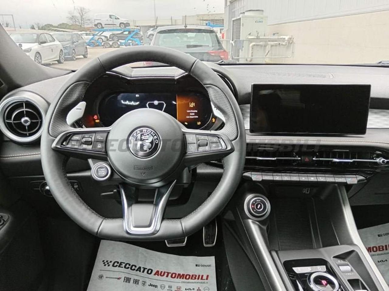 Alfa Romeo Alfa Romeo Tonale usata 22