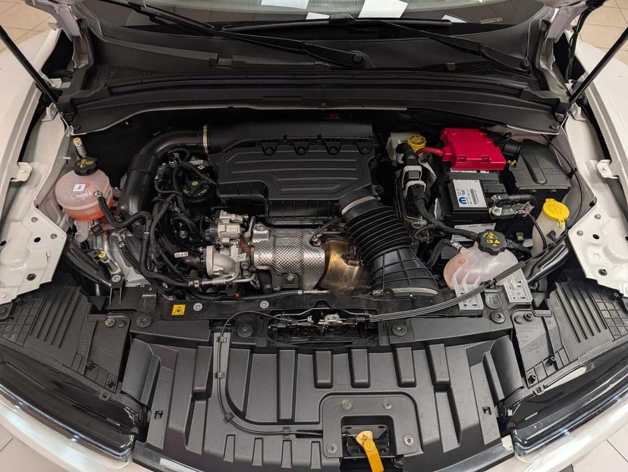 Alfa Romeo Alfa Romeo Tonale usata, con Climatizzatore