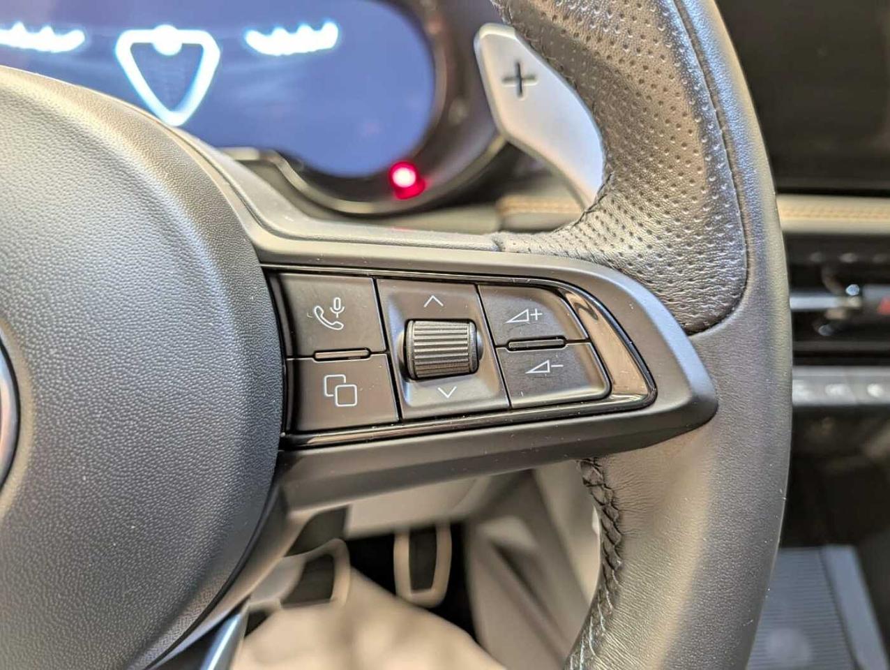 Alfa Romeo Alfa Romeo Tonale usata 18