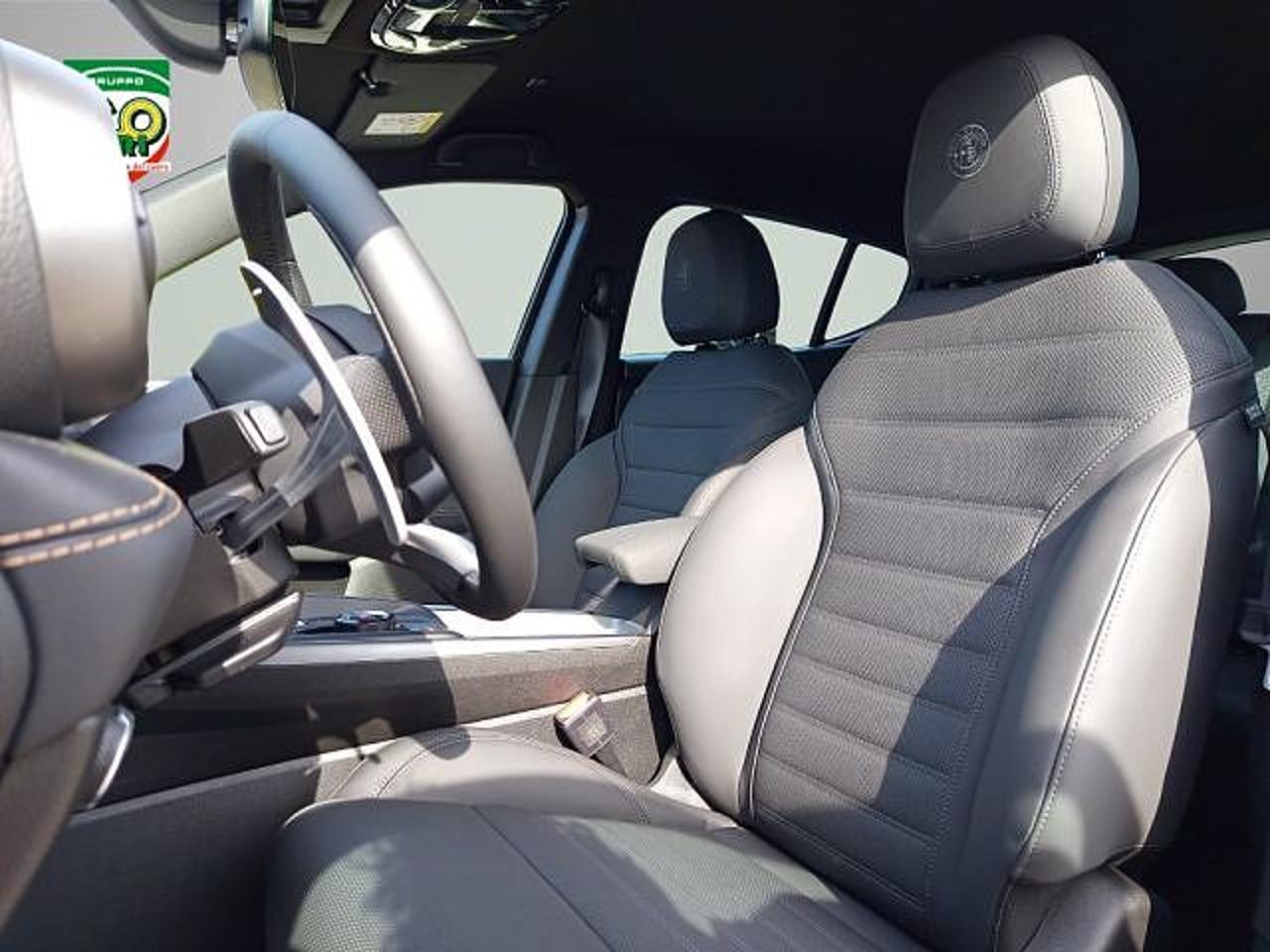 Alfa Romeo Alfa Romeo Tonale usata 21