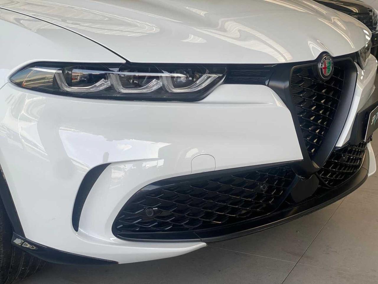 Alfa Romeo Alfa Romeo Tonale usata 12