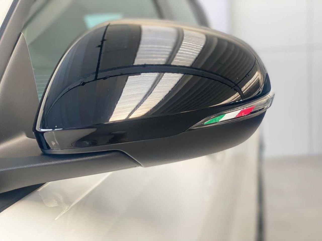 Alfa Romeo Alfa Romeo Tonale usata 14