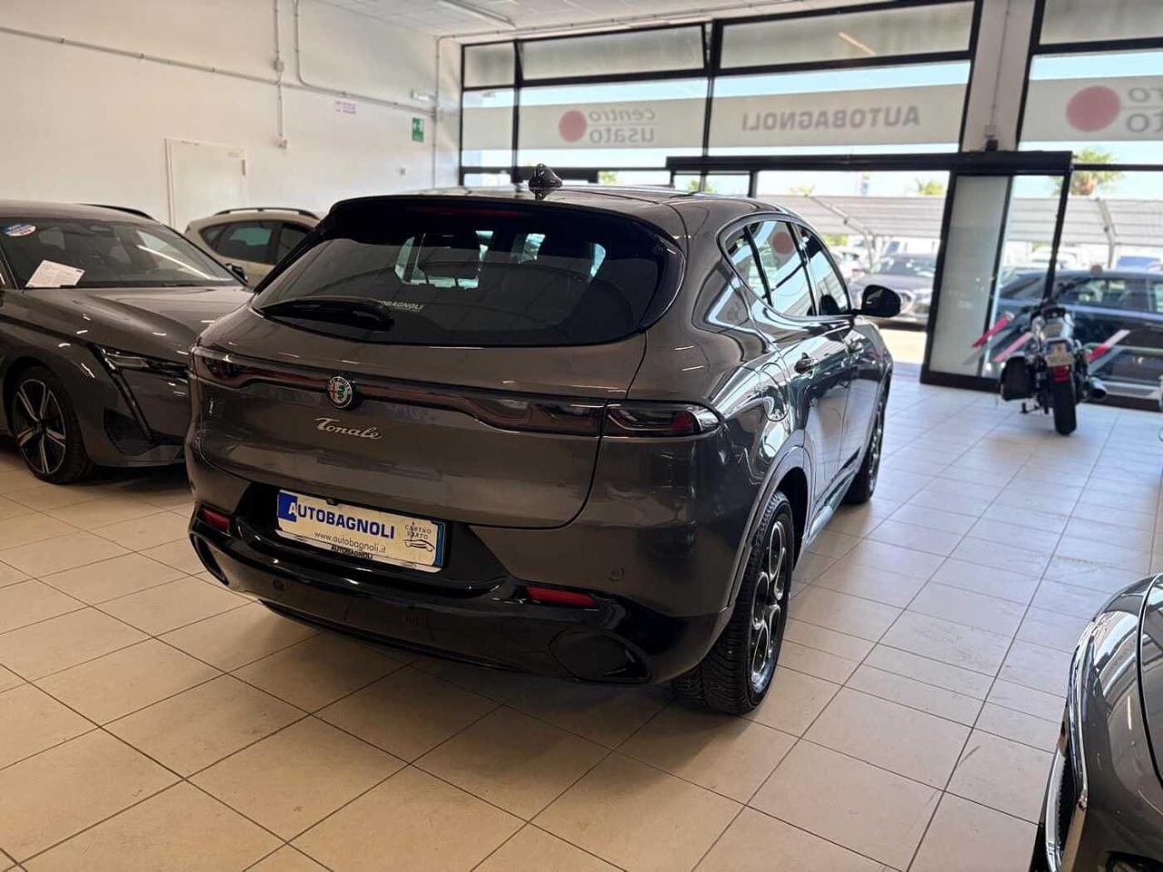 Alfa Romeo Alfa Romeo Tonale usata 13
