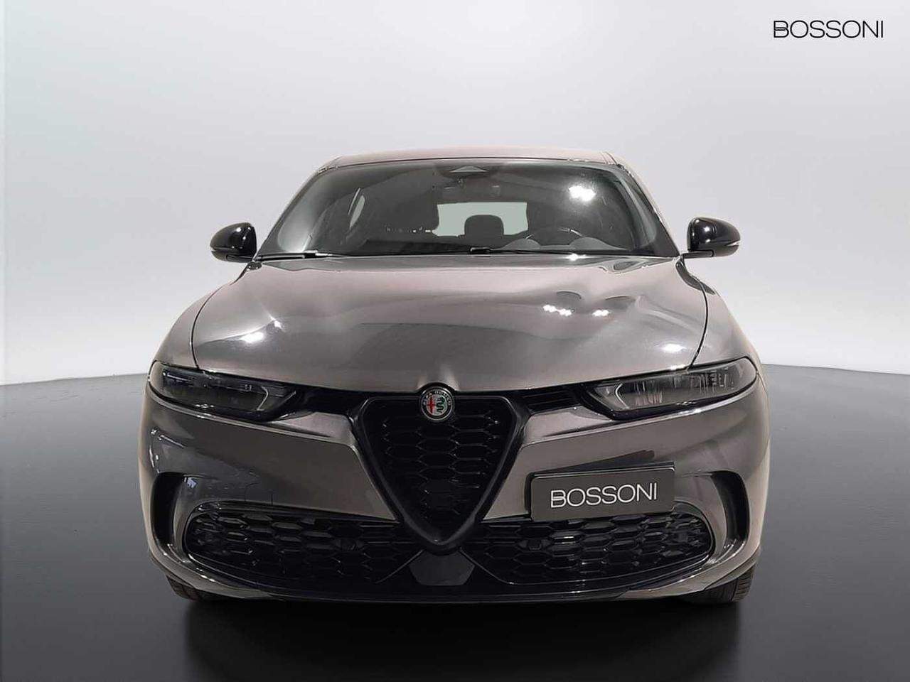 Alfa Romeo Alfa Romeo Tonale usata 11